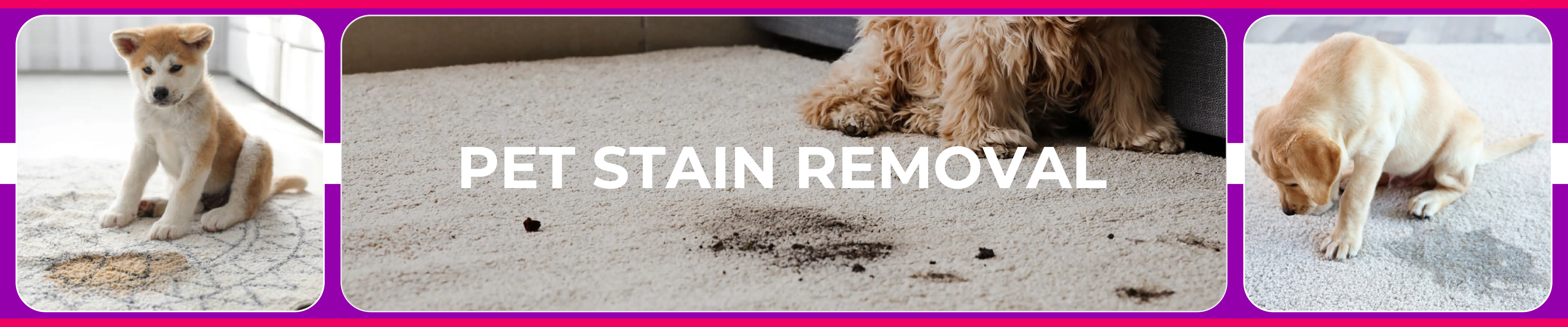 carpet cleaning in new york, carpet cleaning new york, carpet cleaners in new york, carpet cleaners in new york, commercial carpet cleaning, commercial carpet cleaning in new york, new york rug cleaners, rug cleaning services in new york, same day carpet cleaning, same day rug cleaning in new york