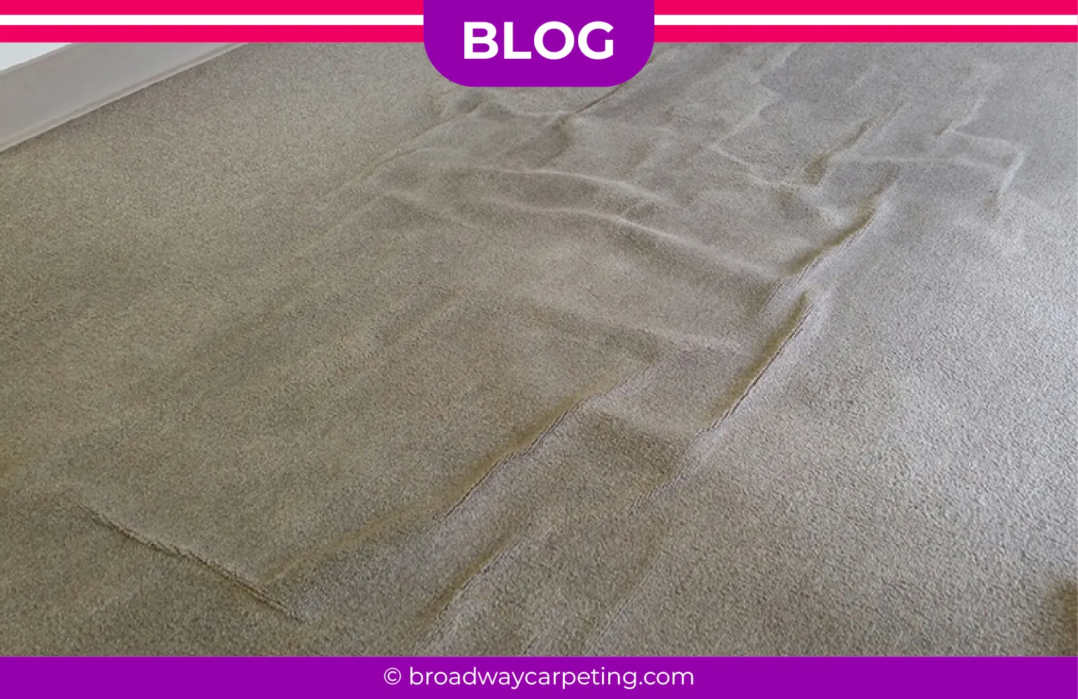 carpet cleaning in new york, carpet cleaning new york, carpet cleaners in new york, carpet cleaners in new york, commercial carpet cleaning, commercial carpet cleaning in new york, new york rug cleaners, rug cleaning services in new york, same day carpet cleaning, same day rug cleaning in new york