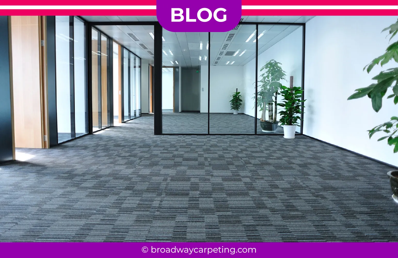 carpet cleaning in new york, carpet cleaning new york, carpet cleaners in new york, carpet cleaners in new york, commercial carpet cleaning, commercial carpet cleaning in new york, new york rug cleaners, rug cleaning services in new york, same day carpet cleaning, same day rug cleaning in new york