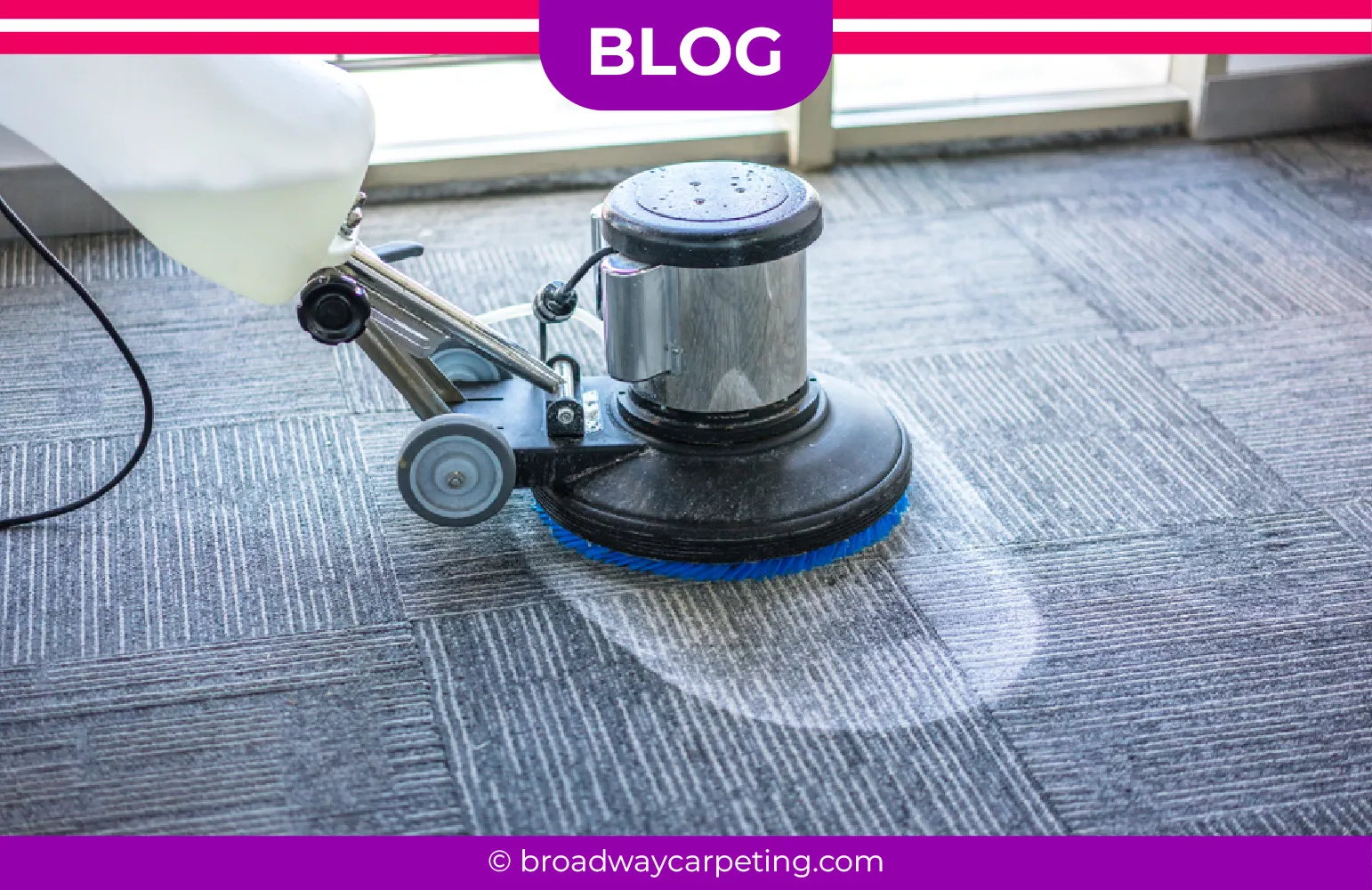 carpet cleaning in new york, carpet cleaning new york, carpet cleaners in new york, carpet cleaners in new york, commercial carpet cleaning, commercial carpet cleaning in new york, new york rug cleaners, rug cleaning services in new york, same day carpet cleaning, same day rug cleaning in new york